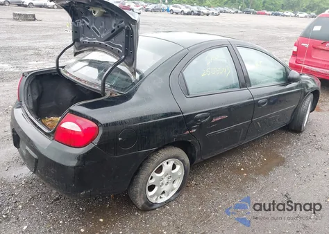 2003 Dodge Neon Sxt из США, поврежденный, VIN 1B3ES56C03D167357